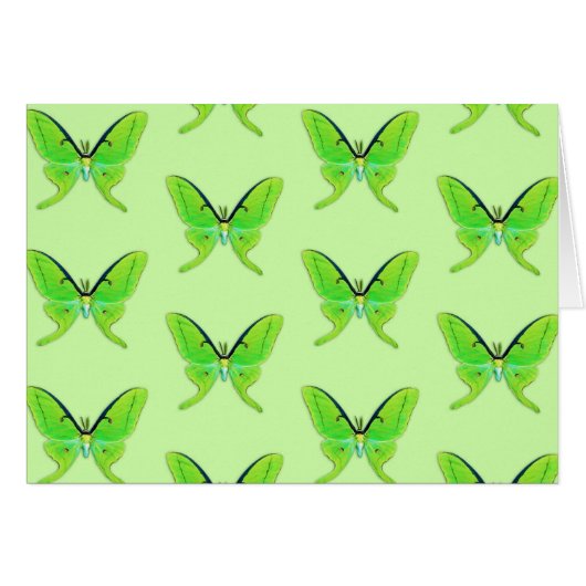 Luna moth on a pale green background (Front Horizontal)