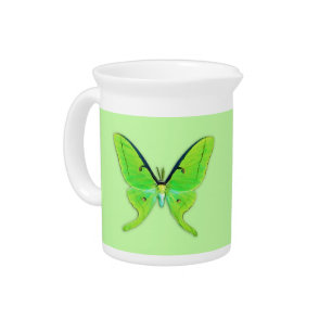 Luna moth on a pale green background beverage pitcher