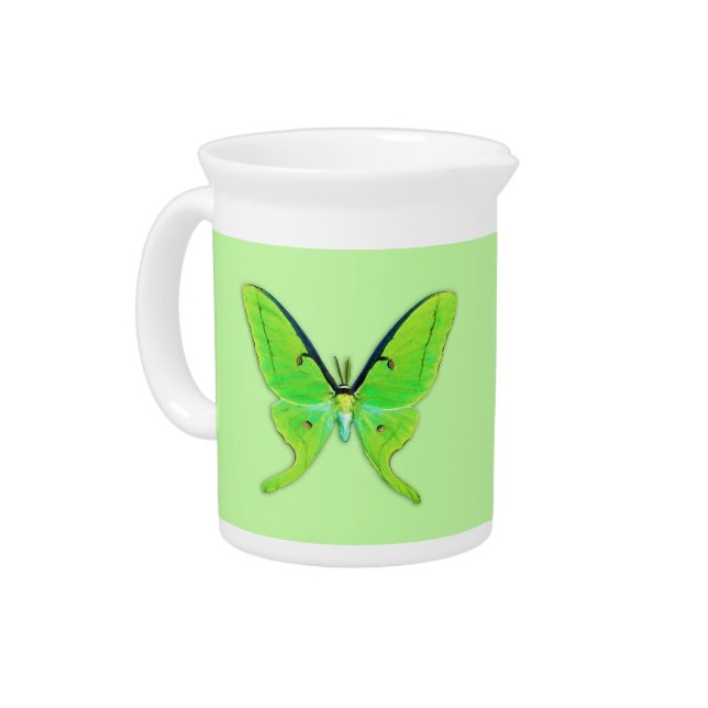 Luna moth on a pale green background beverage pitcher (Left)