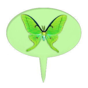Luna moth on a pale green background cake topper