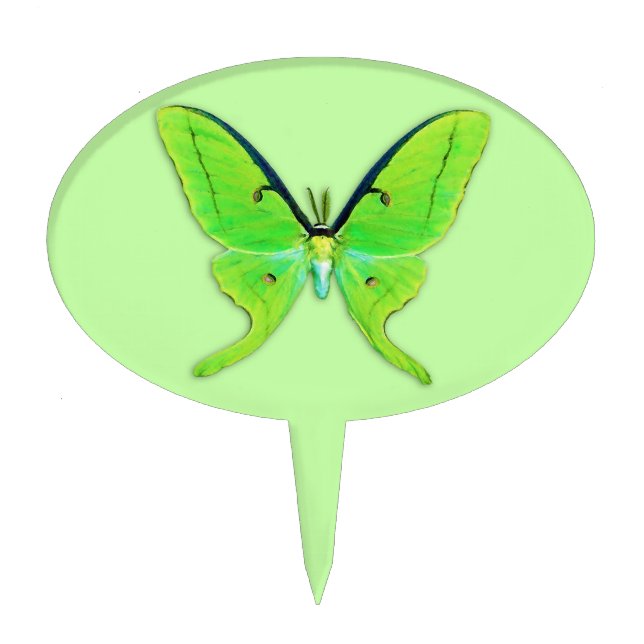 Luna moth on a pale green background cake topper (Front)