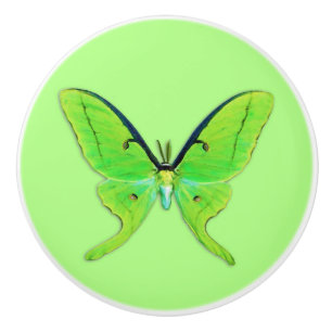 Luna moth on a pale green background ceramic knob