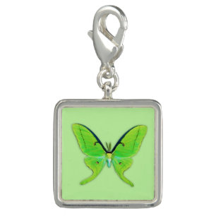 Luna moth on a pale green background charm