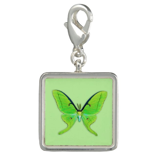 Luna moth on a pale green background charm (Front)