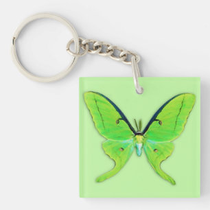 Luna moth on a pale green background keychain