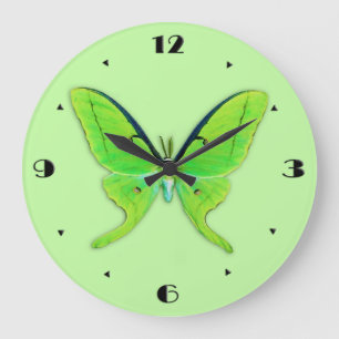 Luna moth on a pale green background large clock