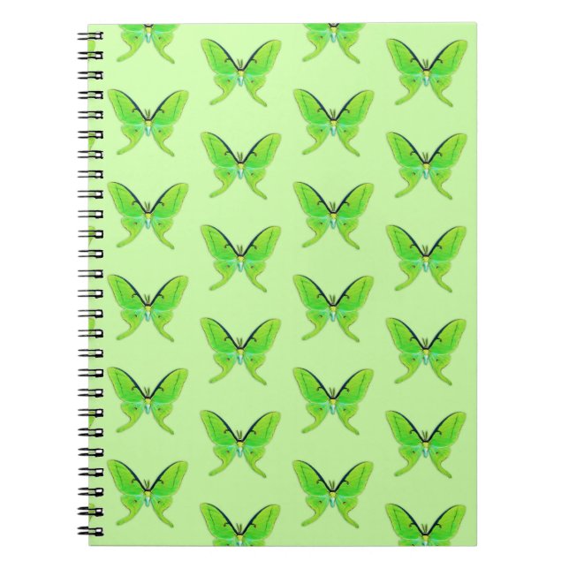 Luna moth on a pale green background notebook (Front)