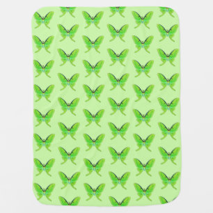Luna moth on a pale green background receiving blanket