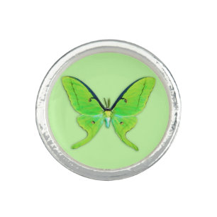 Luna moth on a pale green background ring