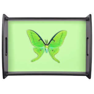 Luna moth on a pale green background serving tray