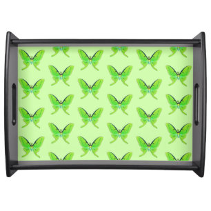 Luna moth on a pale green background serving tray