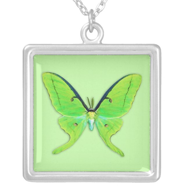 Luna moth on a pale green background silver plated necklace (Front)
