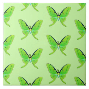 Luna moth on a pale green background tile