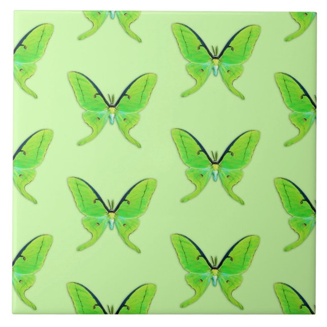 Luna moth on a pale green background tile (Front)