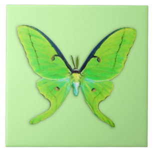 Luna moth on a pale green background tile