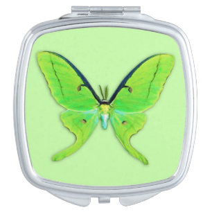 Luna moth on a pale green background vanity mirror