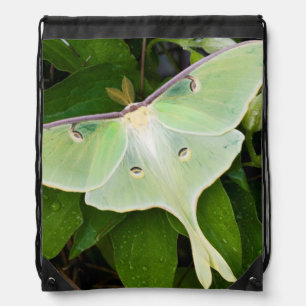 Luna Moth on Carnaby Clematis Drawstring Bag