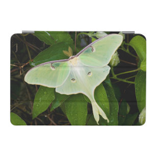 Luna Moth on Carnaby Clematis iPad Mini Cover