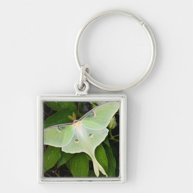 Luna Moth on Carnaby Clematis Keychain (Front)
