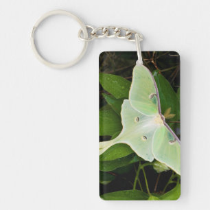 Luna Moth on Carnaby Clematis Keychain
