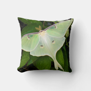 Luna Moth on Carnaby Clematis Throw Pillow