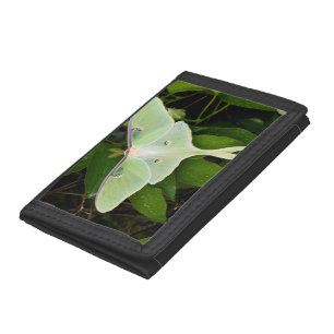 Luna Moth on Carnaby Clematis Tri-fold Wallet