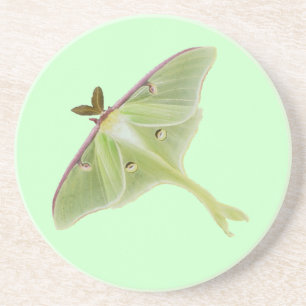 Luna Moth Sandstone Coaster