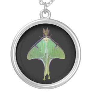 Luna Moth Silver Plated Necklace
