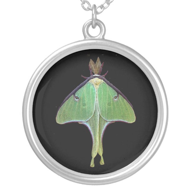 Luna Moth Silver Plated Necklace (Front)