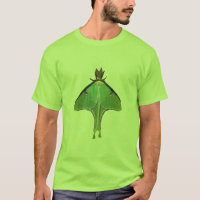 Luna Moth