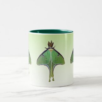 Luna Moth Two-Tone Coffee Mug