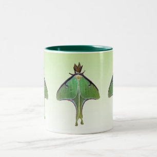 Luna Moth Two-Tone Coffee Mug