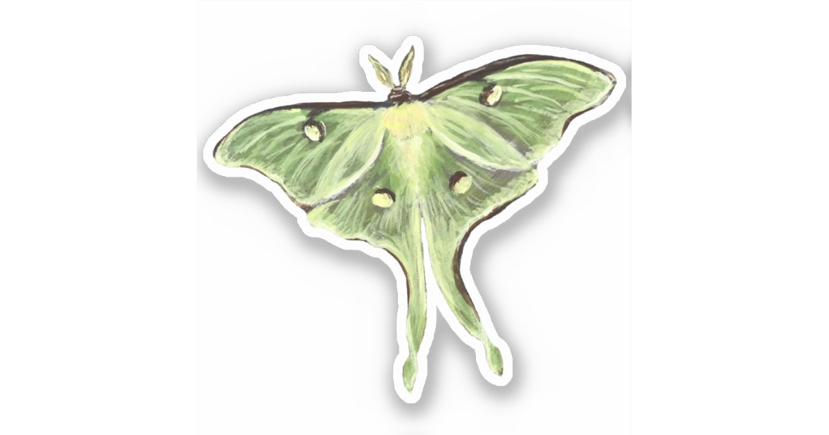 Luna Moth Sticker