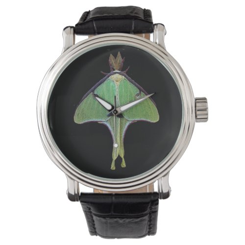 Luna Moth Watch
