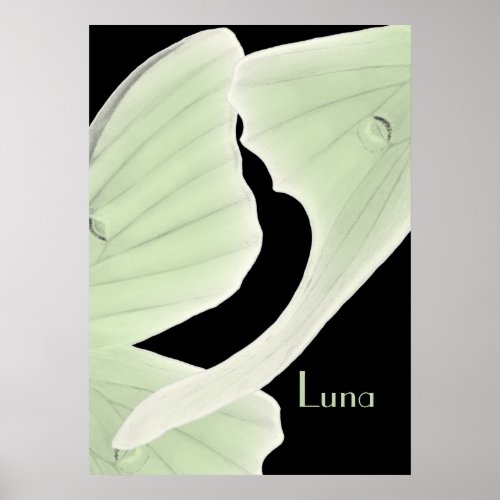Luna Moths Flying in the Dark Night Poster