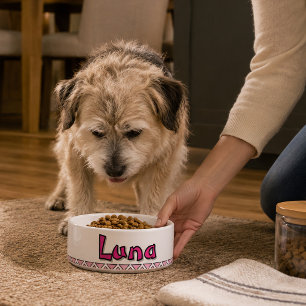 "LUNA" PERSONALIZE 25 OZ. CERAMIC PET BOWL