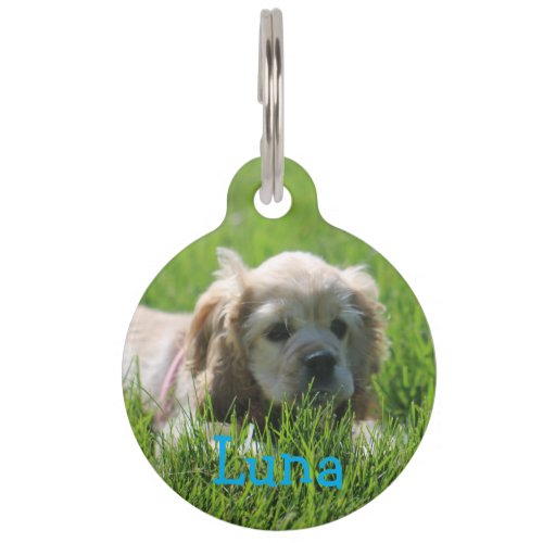 Luna Pet ID Tag