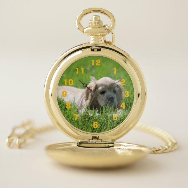 Luna Pocket Watch (Inside)