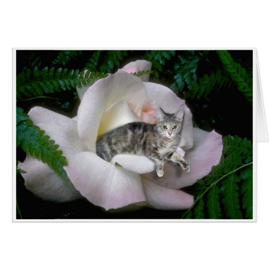 Luna Rose Cards (Front Horizontal)