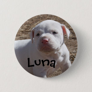 Luna, Saved Puppy Button