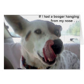 Luna Says If I Had A Booger Hanging From My Nose? (Front Horizontal)