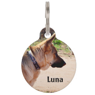 Luna The German Shepherd, Pet Tag, Pet ID Tag