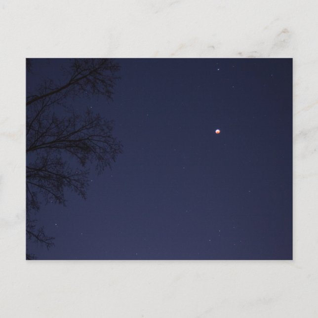Lunar Eclipse Jan 20 to 21, 2019, Ohio Postcard (Front)