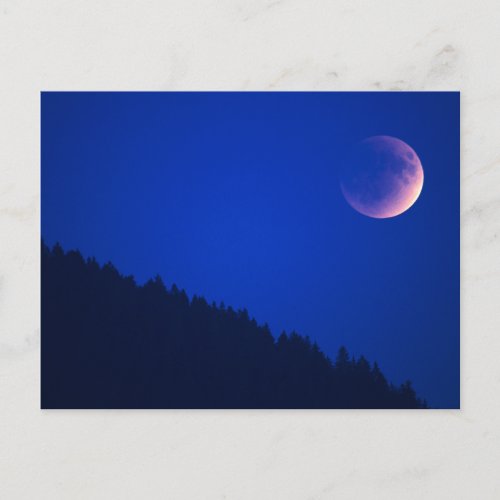 Lunar Eclipse Over Forest  Zug Switzerland Postcard
