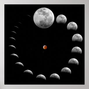 Lunar Moon Phases Poster