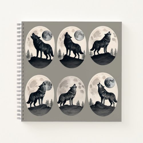 Lunar Phases Notebook