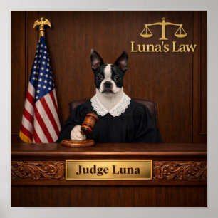 "Luna's Law" Poster