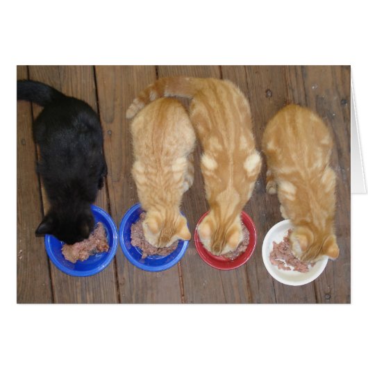 LUNCH! (Front Horizontal)