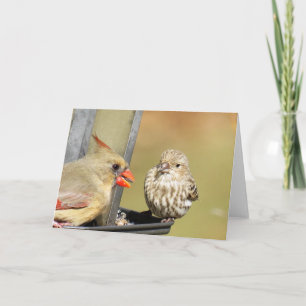 Lunch at the Bird Feeder Card