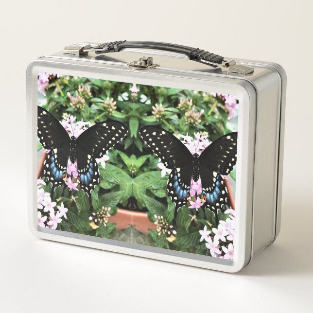 Lunch Box - Eastern Black Swallowtail (Front)